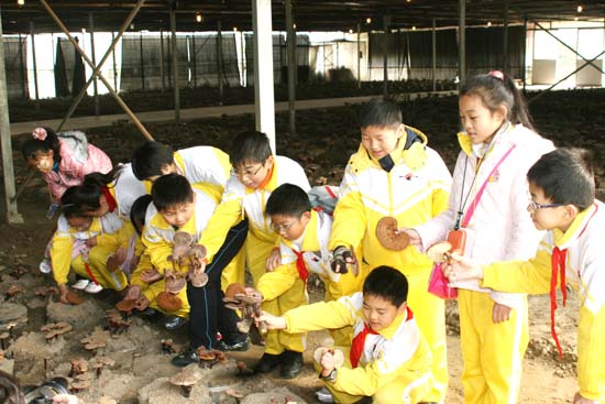 專(zhuān)題報(bào)道