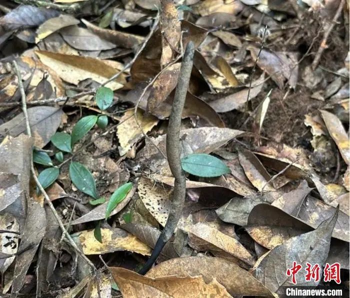 圖片關鍵詞 圖片關鍵詞