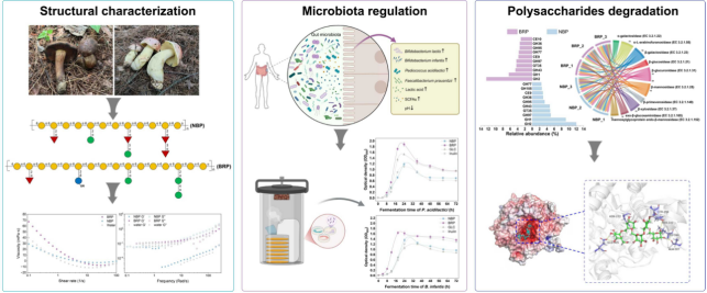 圖片關鍵詞 圖片關鍵詞