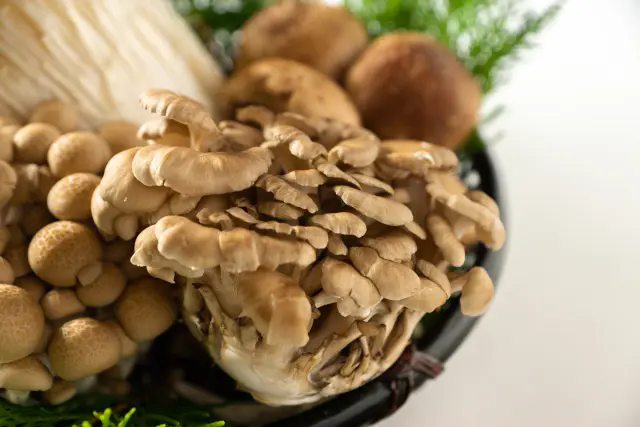 圖片關(guān)鍵詞