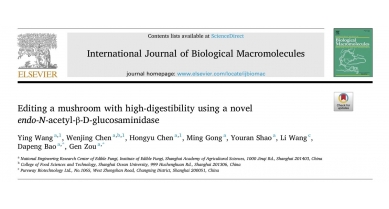 行業(yè)動(dòng)態(tài)