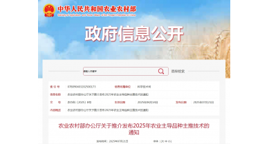 行業(yè)動(dòng)態(tài)