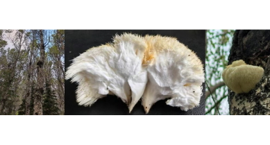 行業(yè)動(dòng)態(tài)