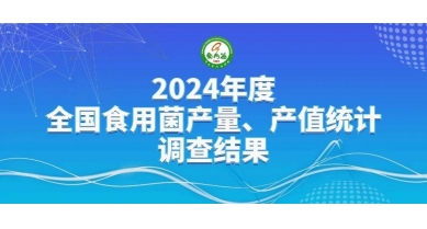 行業(yè)動態(tài)